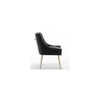 Asul Solid Wood Accent Chair in Black Colour
