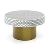 Aina Inlay Coffee Table In Matt Gold Finish