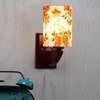 Devansh Solid Wood Electric Wall Light in Multi Colour with Multi Shade Count of 1 Light