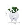 White 1 Pieces Succulent Artificial Plant With Pot