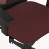 Xxeana Low Back Ergonomic Chair in Brown Colour