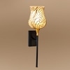 Devansh Metal Electric Wall Light in Black Colour with Multi Shade Count of 1 Light