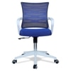 Iinea Mid Back Ergonomic Chair in Blue Colour
