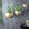 Hanging Hammered Apple Planter Set Of 3 In Gold Colour