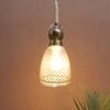 Eliante Glass Hanging Lights Mild Steel, Wood & Glass Material Antique, Brown & Champaign Finish