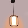 Eliante Hanging Light - Champaign Glass Shade, Mild Steel And Wood, 1-Light Pendant For Modern Decor