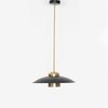 Arvin Black Metal Hanging Light
