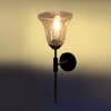 Devansh Metal Electric Wall Light in black Colour with Transparent Shade Count of 1 Light