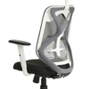 Lukano High Back Ergonomic Office Chair in Grey Colour