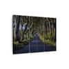 Truss Green Blue Pieces Dark Hedges Canvas Wall Prints Canvas Wall Prints Set of 3 Multicolor Matte