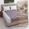 White And Plum Shade Floral  Cotton 400 Tc  Fitted  Double Quen Size Bedsheet With 2 Pillow Covers