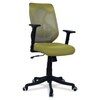 Zeeazyana Mid Back Ergonomic Chair in Pearl Green Colour
