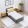 Hexa Engineered Wood Modern Single Bed With Headboard With Storage In Frosty White And Giant Wood