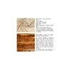 Blane Sheesham Wood 4 Seater Coffee Table Set In Teak Finish