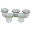 Pot Planter Set Of 5 In White And Gold Colour