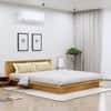 Hexa Engineered Wood Modern Queen Bed With Headboard Without Storage In Giant Wood