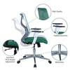 Wiwngas Mid Back Ergonomic Chair in Dark Green Colour