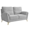 Osbert Velvet 2 Seater sofa in Grey color