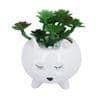 White 1 Pieces Succulent Artificial Plant With Pot
