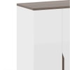 Baltoro Engineered Wood Tall Shoe Rack in White Finish