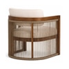Sereno Solid Wood Lounge Chair in Multicolor Colour