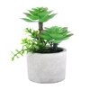 Artificial Succulent Indoor Plant With Ceramic Pot