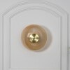 Maloto Amber Luster and Brass Finish Metal Wall Light