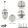 Nolan  Ceiling Pendant Light In Transparent  Glass & Brass Finish Metal