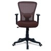Peacifice Mid Back Ergonomic Chair in Brown Colour