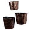 Hammered Wall Planter Set Of 3 In Copper And Black Colour