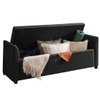 Sibol Leatherette  2 Seater Ottoman Bench with Storage  in Black Color