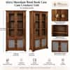 Akira Sheesham Wood Book Case Cum Crockery UnitIn Provincial Teak Finish