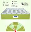 Peps Springkoil Ortho Luxe 8 Inch Pocket Spring Latex Foam Mattress King 78x72