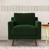 Reiti Velvet 1 Seater Sofa in Green Colour
