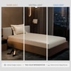 Stoa Paris 300TC UltrSatin Single Bedsheet Set Satin Single Night Ivory