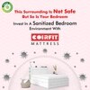 Zone Magno Pocket Pro Spring Mattress (78 x 60 in, 10 Inches)