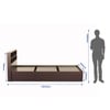 Takeo Engineered Wood Single  Size Bed With Box Storage (Walnut Finish)