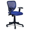 Odrione Low Back Ergonomic Chair in Blue Colour