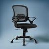 Elva Mid Back Mesh Office Chair in Black Color