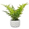 Diamon Patterned Pot With Artificial Fern