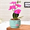 Artistic  Face Planter With Pink Artificial Orchids
