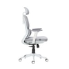 Merry Premium Ergonomic Office Chair High Back in Grey Colour