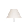 Docie White Natural Fiber Floor Lamp with Black Iron Base