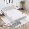 Hexa Engineered Wood Modern Queen Bed With Headboard With Storage In Frosty White