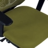 Zeeazyana High Back Ergonomic Chair in Pearl Green Colour