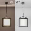 Hardy Industrial Single Light Cage Pendant in Black