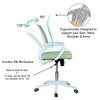 Naamikoa Mid Back Ergonomic Chair in Pearl Green Colour