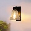 Devansh Solid Wood Electric Wall Light in Brown Colour with Transparent Shade Count of 1 Light