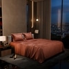 Stoa Paris Double Bedsheet with 2 Pillow Covers sheet with Melted Caramel
