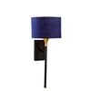 Devansh Metal Electric Wall Light in Black Colour with Blue Shade Count of 1 Light